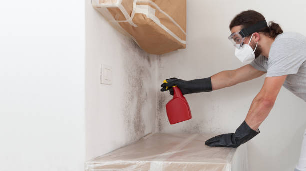 Professional Mold Removal technician working in Chincoteague Island, VA